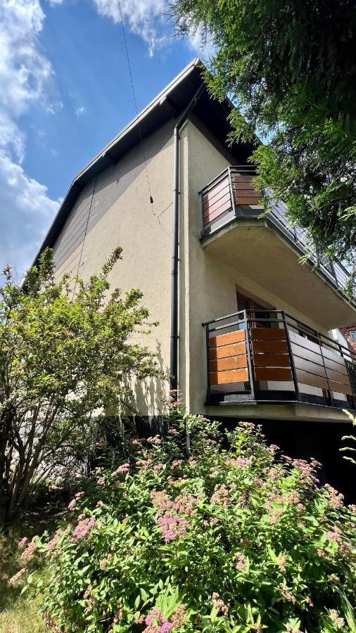 קרקוב Apartament Widna מראה חיצוני תמונה